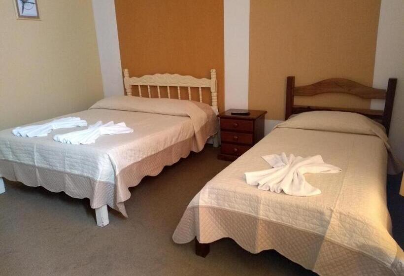 스탠다드 트리플 룸, Platanus