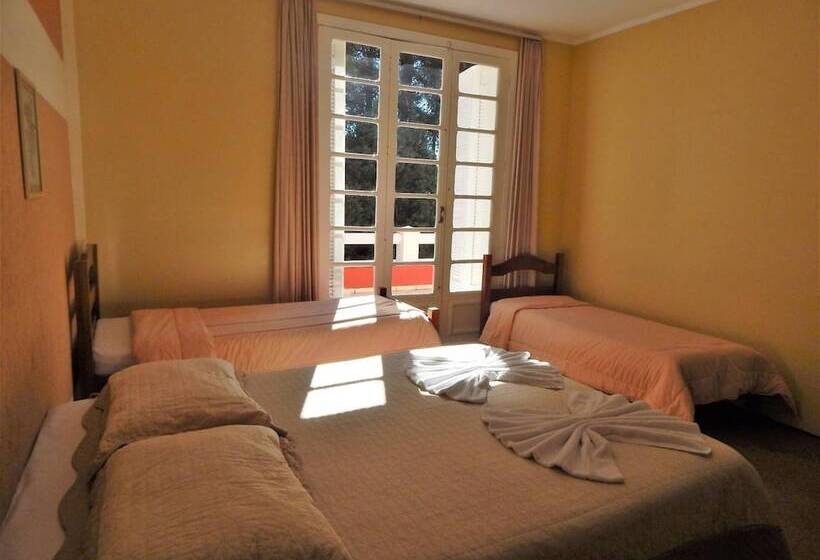 4인용 스탠다드 룸, Platanus