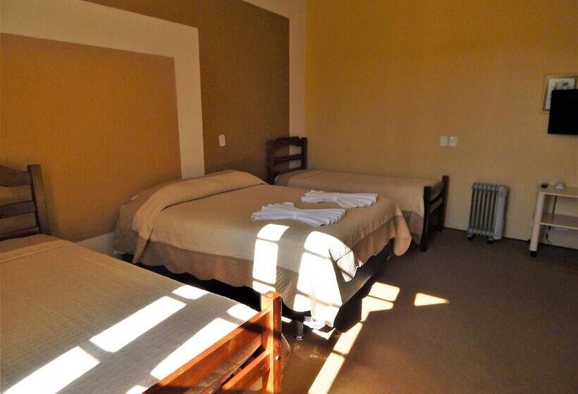 4인용 스탠다드 룸, Platanus