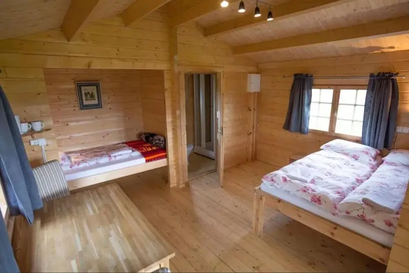 Chambre Triple Standard, Pixel