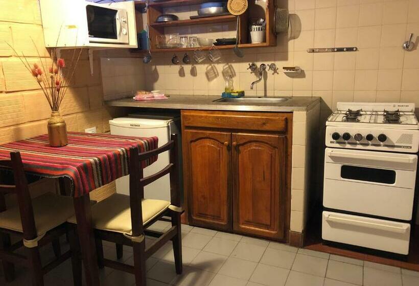 آپارتمان 1 خوابه با بالکن, Termas Del Sol