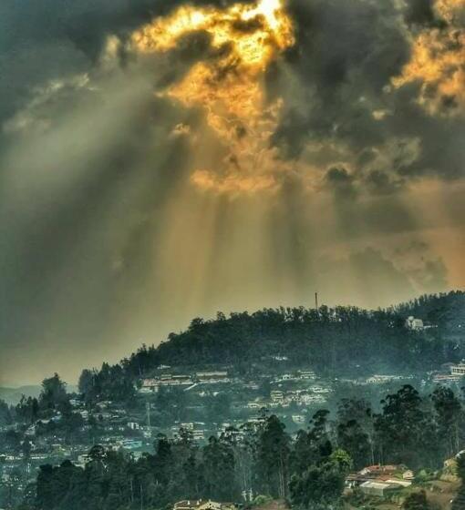 Chambre Standard Lit King Size, Sunset Valley Holiday Inn
