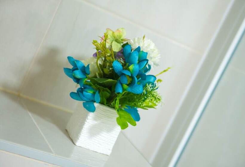 اتاق سوپریور چهار تخته, Five Rivers Rooms