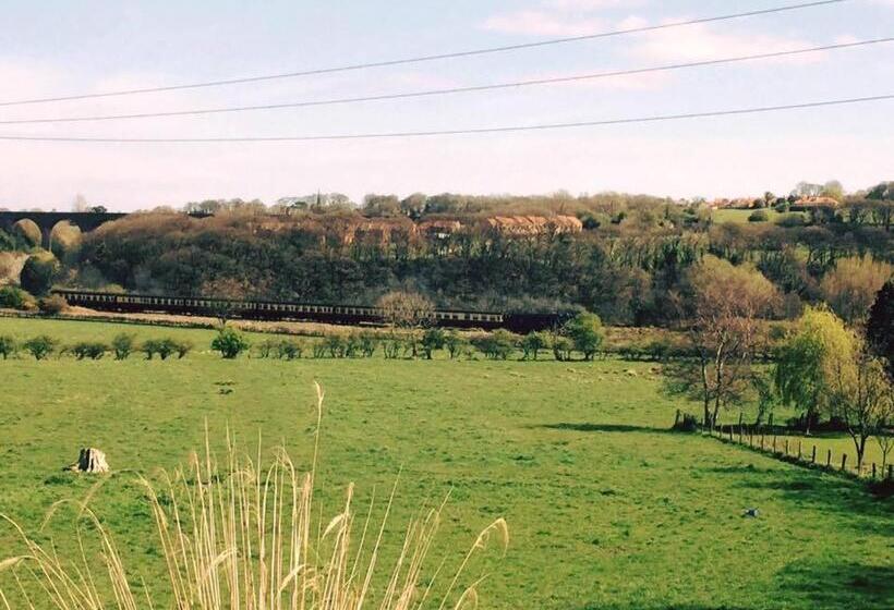 غرفة سوبيريور سرير كينج, Glen View B & B