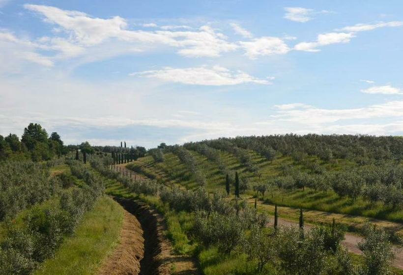 Люкс с Террасой, Il Podere Di Marfisa