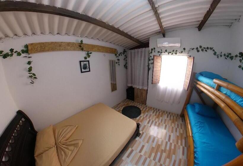 バス共有のスタンダードルーム, Akainoie