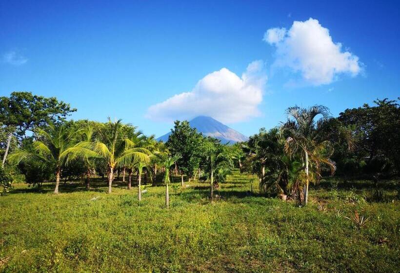 4인용 스탠다드 룸, El Peregrino