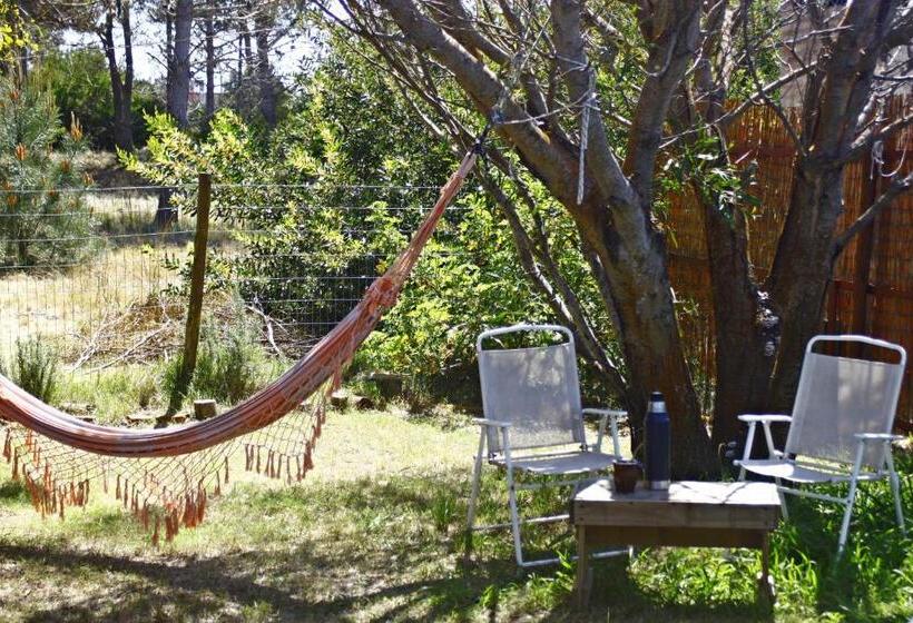 标准间, Brisas Mágicas