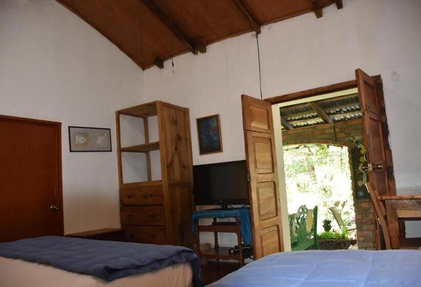 חדר סטנדרט, The Mayan Grouper