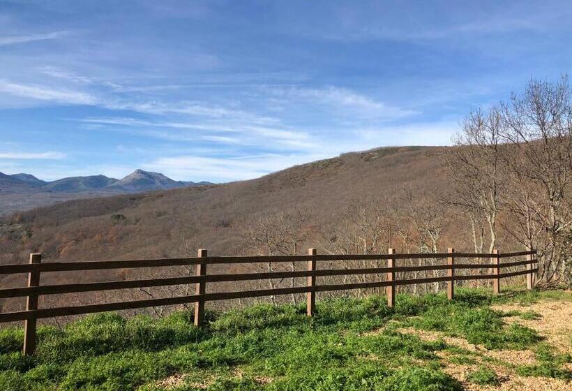غرفة قياسية, Rural Porta Coeli   Dehesa Santa Lucía