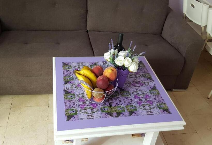 带1个卧室的公寓, Vila Lavanda