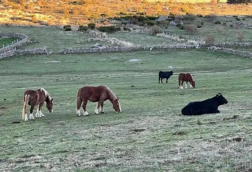 2ベッドルームハウス, El Sobrao De Gredos