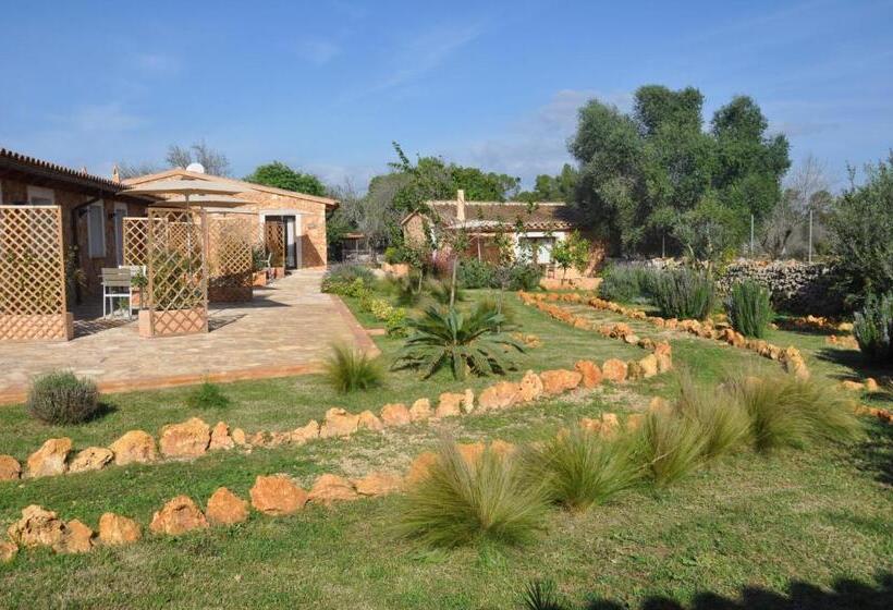 Номер Стандарт, Can Porretí Agroturisme