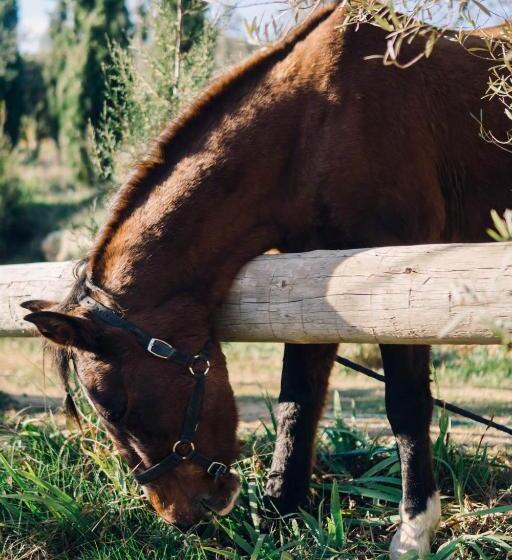 침실 3개 빌라, Finca Heredad La Boquilla