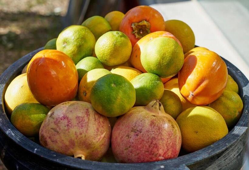 Апартаменты 1 Спальня, Finca Heredad La Boquilla