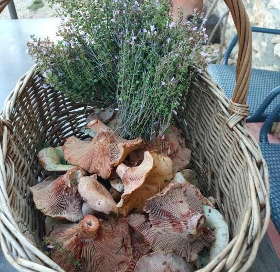 스탠다드 스튜디오, Finca Heredad La Boquilla