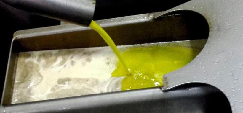 스탠다드 스튜디오, Finca Heredad La Boquilla