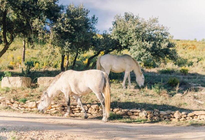 침실 3개 빌라, Finca Heredad La Boquilla