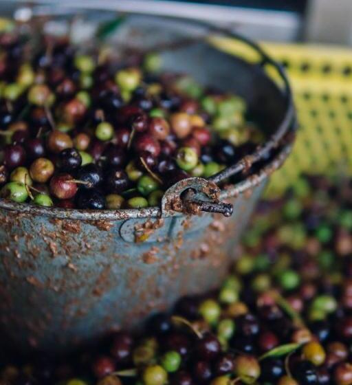 침실 1개 아파트, Finca Heredad La Boquilla