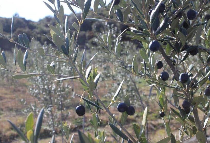 침실 1개 아파트, Finca Heredad La Boquilla