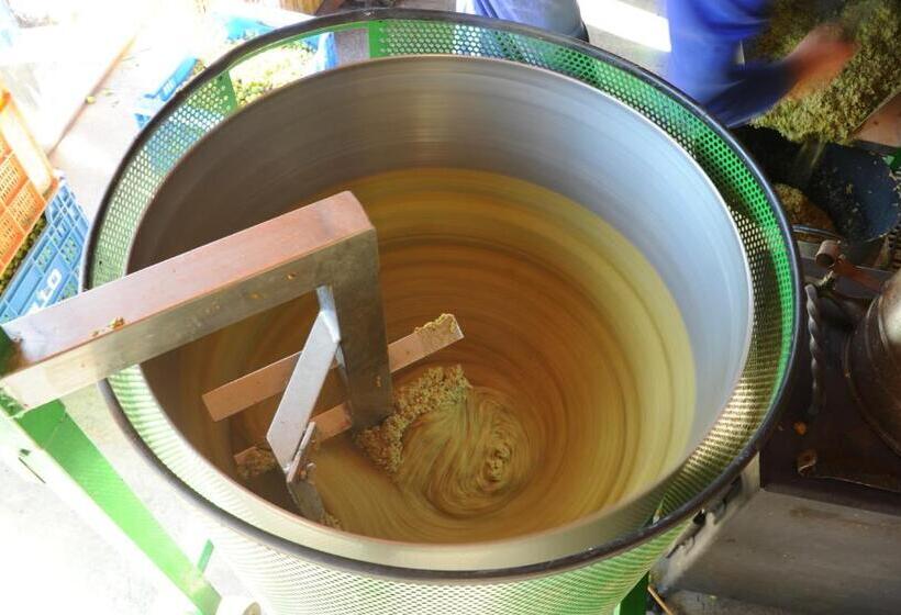 스탠다드 스튜디오, Finca Heredad La Boquilla