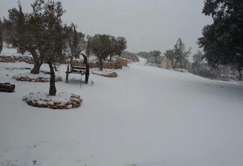 스탠다드 스튜디오, Finca Heredad La Boquilla