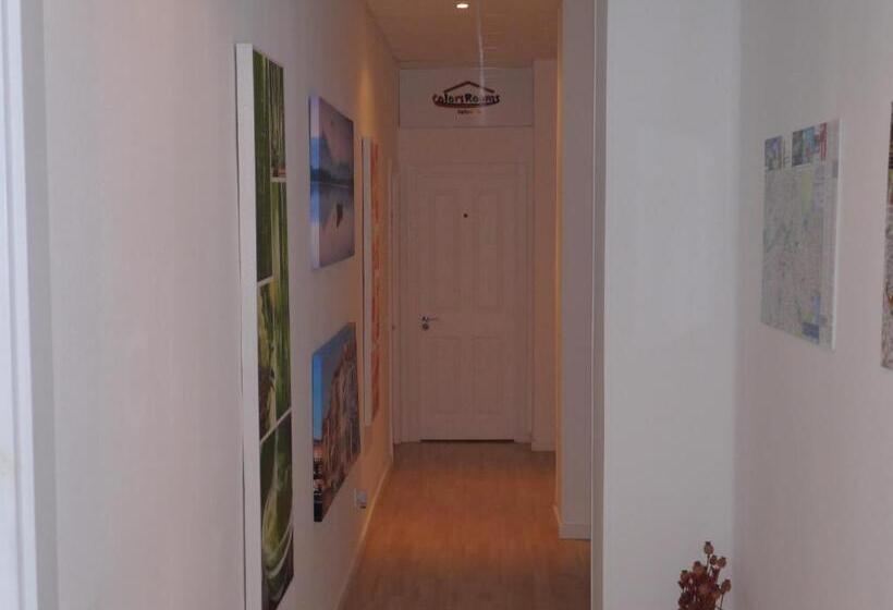 اتاق استاندارد, Colors Rooms