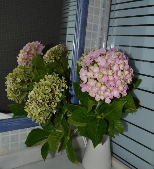 חדר יחיד קלאסי, Hostal Quevedo