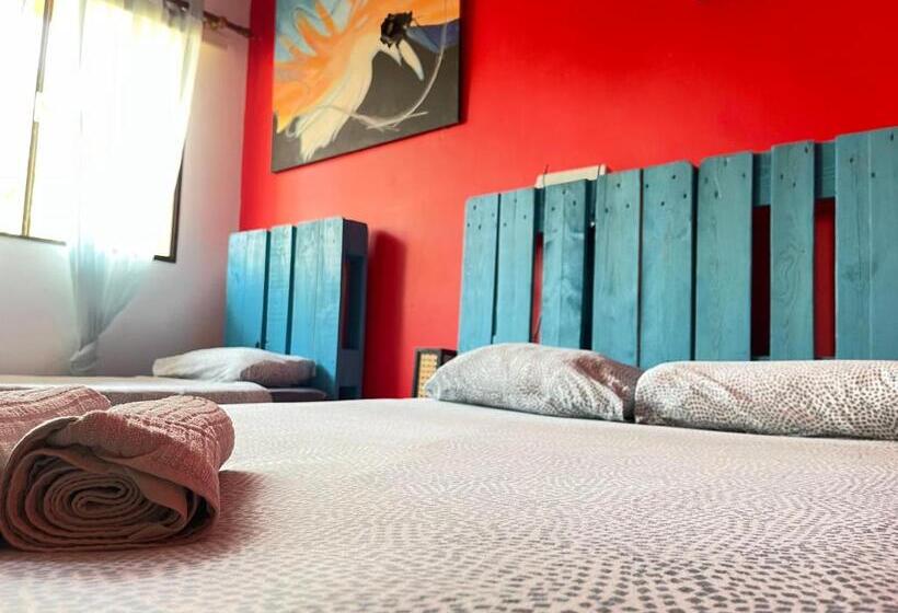 Номер Стандарт, Lagarto Hostel Tenerife