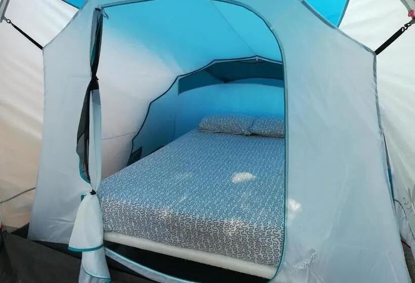Standard Tent, Lagarto Hostel Tenerife