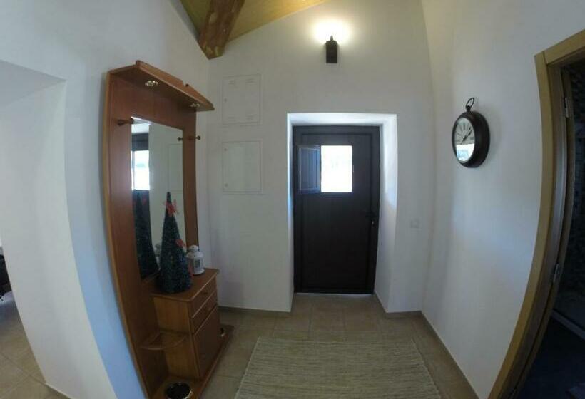 חדר סטנדרט לארבעה, Sicó In And Out