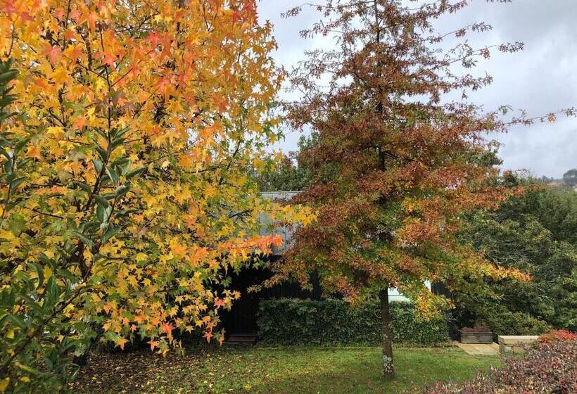 بنجلو قياسى مطلّ علي الحديقة, Quinta Lamosa Agroturismo