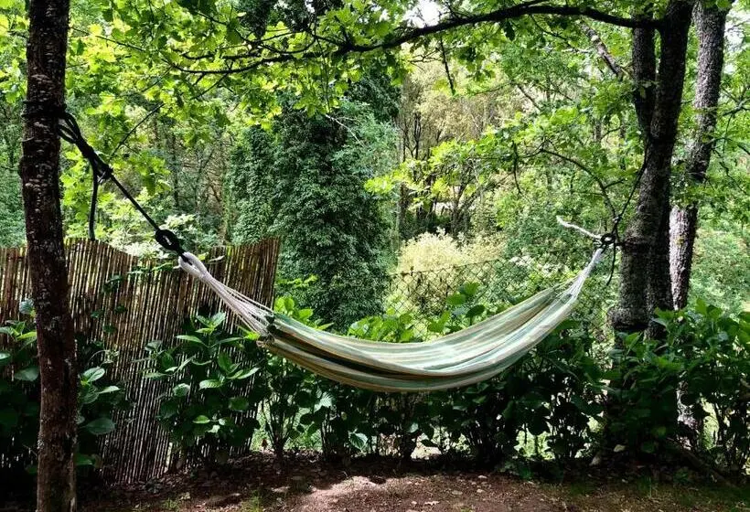 スタンダードバンガロー, Quinta Lamosa Agroturismo