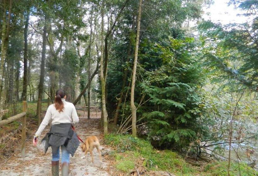 بنجلو قياسى مطلّ علي الحديقة, Quinta Lamosa Agroturismo