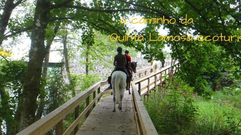 بنجلو قياسى مطلّ علي الحديقة, Quinta Lamosa Agroturismo