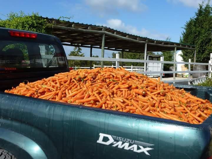 شقة غرفتين, Setequintas