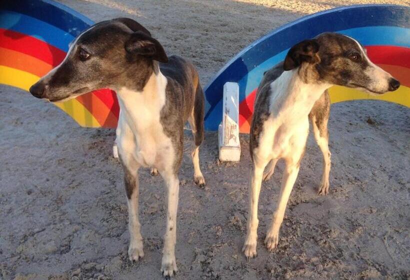 شقة 4 غرف, Setequintas