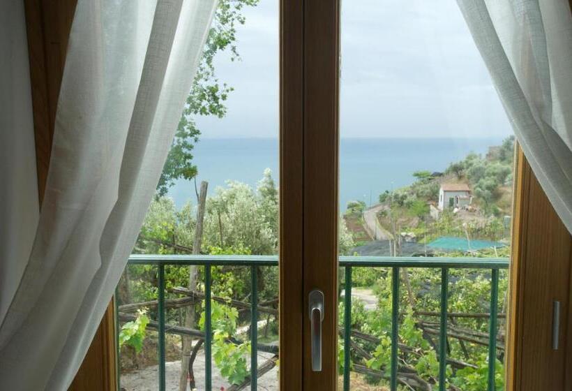 חדר דלוקס נוף לים, Sopra Il Limoneto