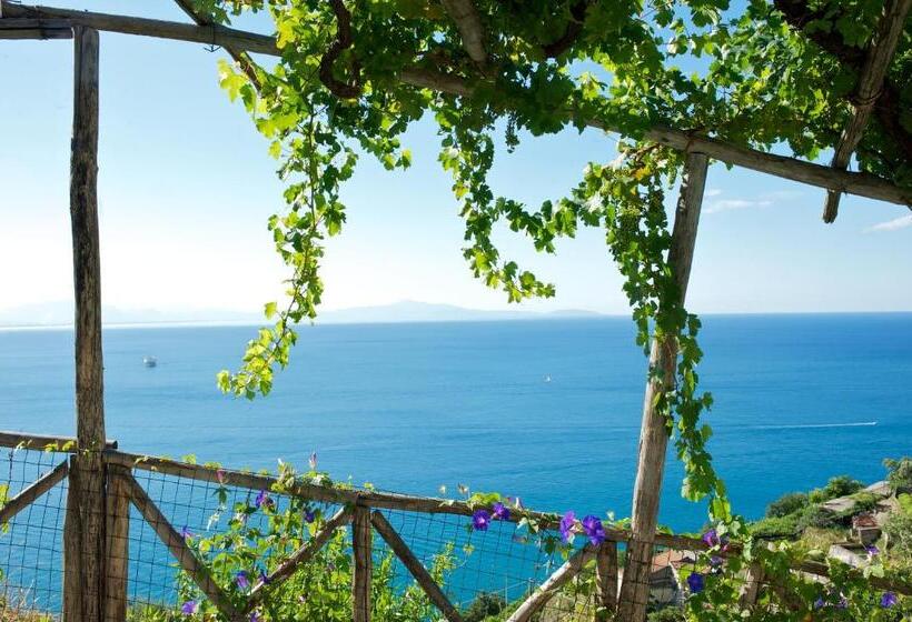 חדר דלוקס נוף לים, Sopra Il Limoneto