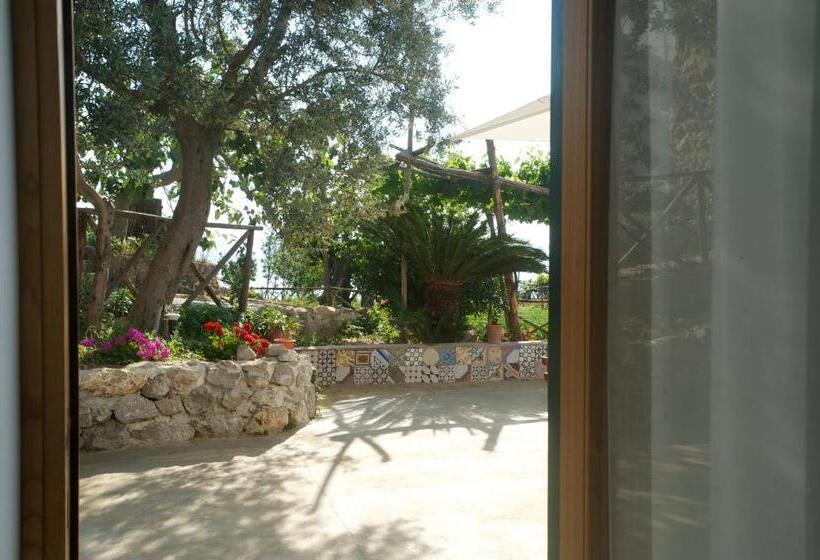 חדר דלוקס עם מרפסת, Sopra Il Limoneto