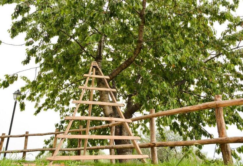 Апартаменты 1 Спальня Нижний Этаж, Cascina Varini