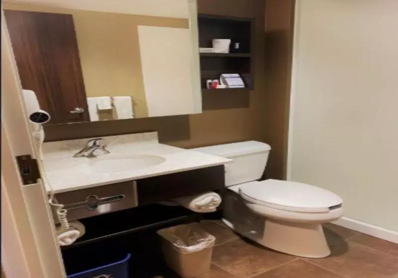 اتاق استاندارد, Luna Rooms