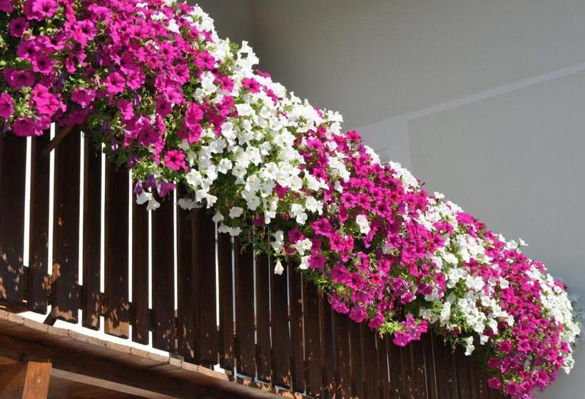 标准间, Garni San Paolo