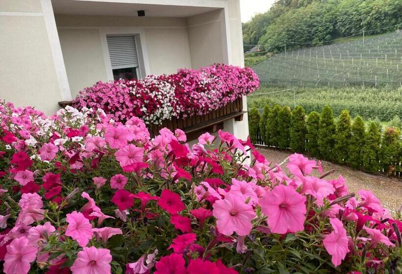 基本三人间, Garni San Paolo