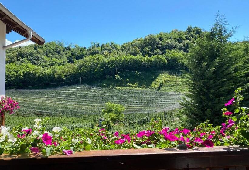 基本三人间, Garni San Paolo