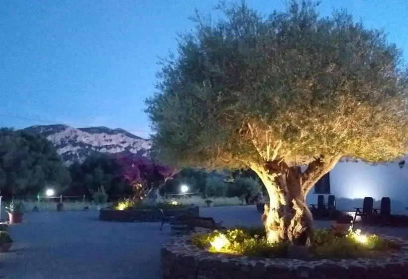 استودیوی استاندارد, Vistamare