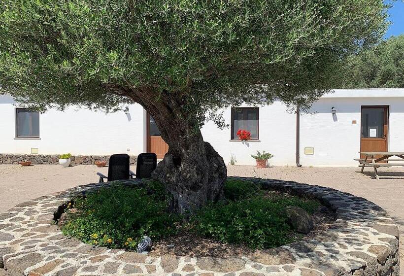 إستوديو قياسى, Vistamare