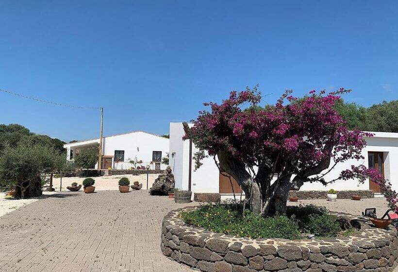 إستوديو قياسى, Vistamare