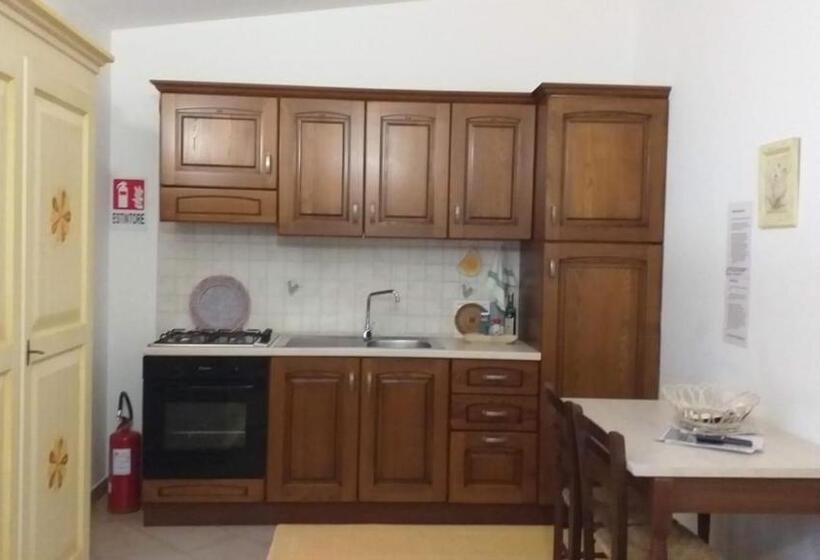 إستوديو قياسى مزودة بتراس, Vistamare