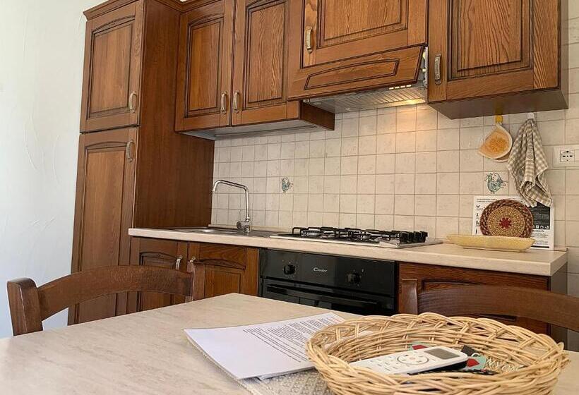 إستوديو قياسى مزودة بتراس, Vistamare